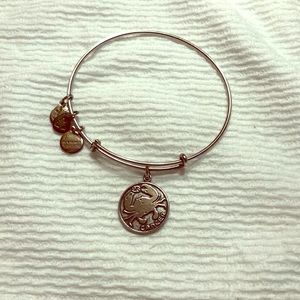 Alex and ani